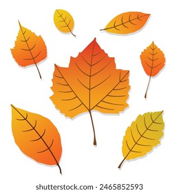 Fall Leaf Icon Set Vector