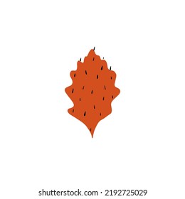 Fall leaf icon vector illustration. Hand drawn colorful design. Isolated graphic symbols. Autumn single art sign. Boho scandi colors. Nature abstract concept