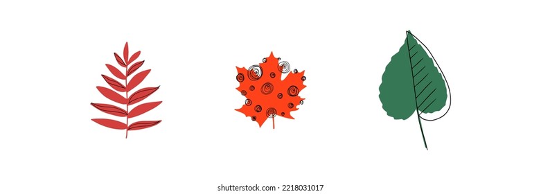 Fall leaf icon vector illustration set. Hand drawn 3 colorful design. Isolated graphic symbols. Autumn sign. Boho scandi colors. Nature abstract concept. Line art. Grey background. Red, green