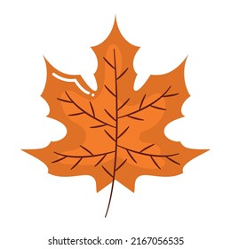 fall leaf illustration over white