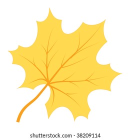 Fall leaf isolated on a white. Vector illustration.
