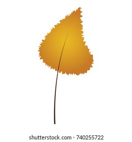 Fall leaf isolated on white background, Vector illustration