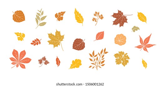 Fall leaf set. Autumn leaves nature icons over white background. Nature floral symbol collection