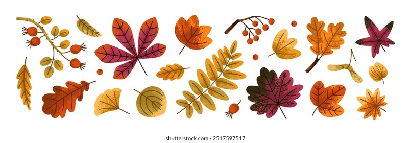 Fall leaf set. Autumn leaves, branches, rowan berries, foliage. Forest decorations. Natural design elements bundle. Botanical floral collection. Flat vector illustration isolated on white background