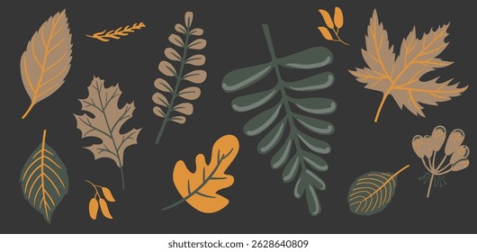 Fall leaf set. Autumn leaves, branches, rowan berries, foliage. Forest decorations. Natural design elements bundle. Botanical floral collection.