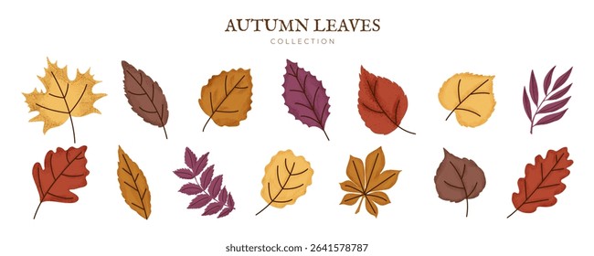 Fall Leaf Set with Grain. Autumn Leave, Branche, Rowan, Foliage, Maple, Oak. Forest Decoration. Natural Design Elements Bundle. Botanical Floral Collection. Flat Vector  Isolated on white Background.
