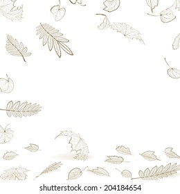 Fall leaf skeletons autumn design template. EPS10