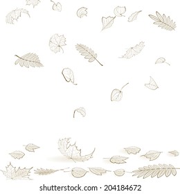 Fall leaf skeletons autumn design template. EPS10