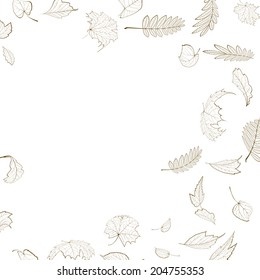 Fall leaf skeletons autumn design template. EPS10
