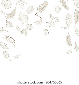 Fall leaf skeletons autumn design template. EPS10