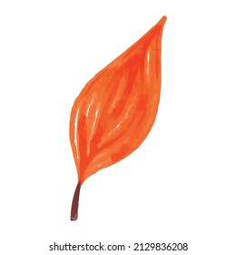 Fall Leaf and Stem Watercolor Illustration