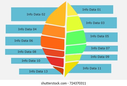 Fall leaf themed infographic. Color. Vector. For presentations, graph data, diagrams, business etc