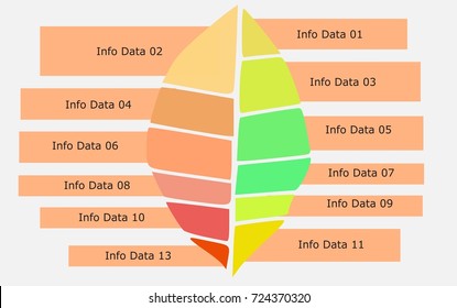 Fall leaf themed infographic. Muted colors. Vector. For presentations, graph data, diagrams, business etc