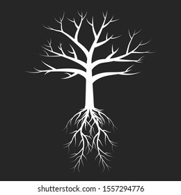 Fall Leafless Tree With Roots Silhouettes. Vector Isolated Nature Illustration With Branches. Park Plants.