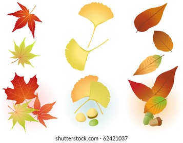 Fall Leaf(Maple,Ginkgo,Acorn)