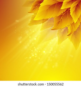 Fall leafs abstract background
