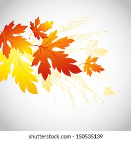 Fall Leafs Abstract Background