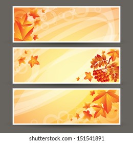 Fall leafs abstract background