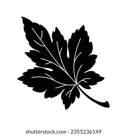 Fall leave icon vector on trendy design