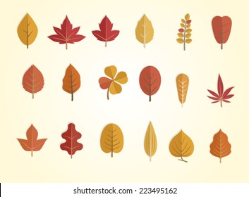 fall leaves