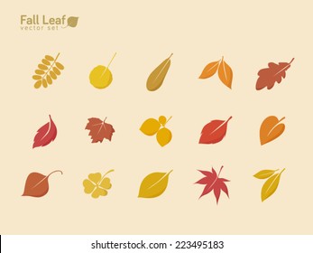 fall leaves