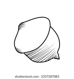 fall leaves autumn acorn nut line art vector illustration