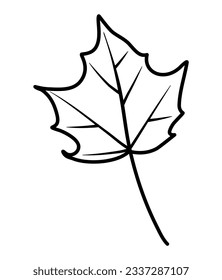 fall leaves autumn acorn nut line art vector illustration