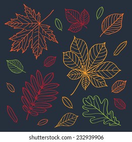 Fall of the leaves. Autumn leaves draw the outline of crayons on a blackboard. Sketch, design elements. Doodles. Vector illustration.