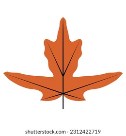 fall leaves autumn illustration decoration