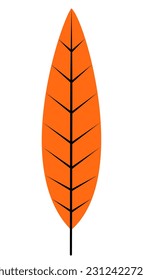 fall leaves autumn illustration decoration