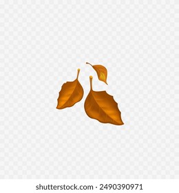 Fall leaves. Autumn leaf yellow. 3d realistic icon. Isolated. Vector