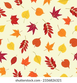 Fall leaves autumn seamless pattern. Hand drawn leaves maple, birch, rowan. Season fall repeat design seamless pattern tile, fabric swatch, wrapping paper print. Autumnal background abstract design.