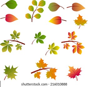 Fall Leaves, Autumn Leaves, Leaves Vectors