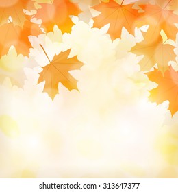 Fall leaves background