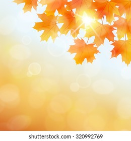 Fall leaves background