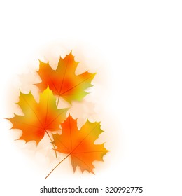 Fall leaves background