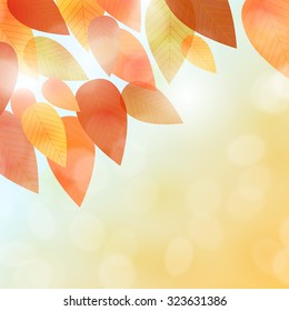 Fall leaves background