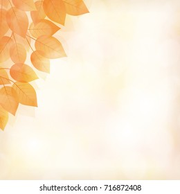 Fall leaves background