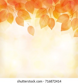 Fall leaves background