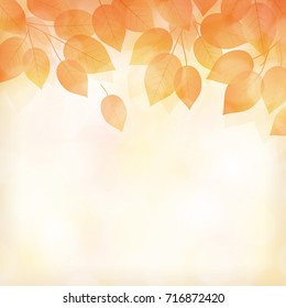 Fall leaves background