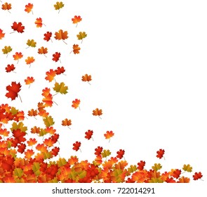 Fall Leaves Background