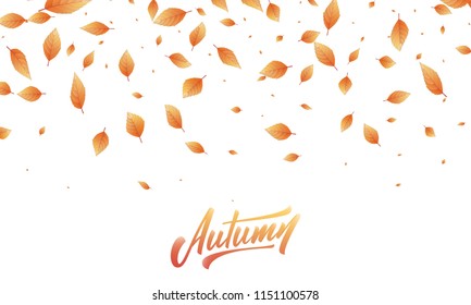 Fall leaves background. Autumn leaves frame, overlay, banner design