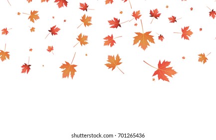 Fall leaves background. Falling autumn maple leaves banner template.