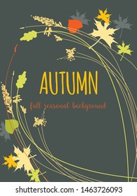 Fall leaves background, maple leaf amd plants over dark grey background