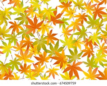 Fondo de las hojas de otoño - patrón de otoño sin fisuras