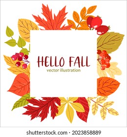 Fall leaves and berries frame, hand drawn flat illustration, simple style