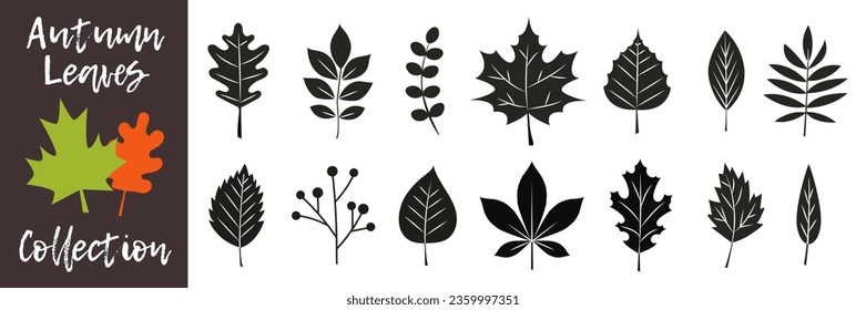 Fall leaves collection. Autumn  leaves silhouette set. Colorful Autumn falling leaves. 