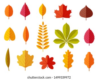 Fall leaves. Colorful autumn leaves, leaf chestnut elm oak, maple forest with yellow and orange foliage. Flat vector isolated set