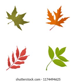 
Fall Leaves Flat Icons 
