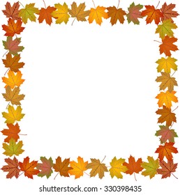 Fall Leaves Frame